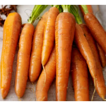 Frozen Carrot (6)-9953849-55909.webp